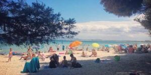 platja de muro beach your taxi mallorca